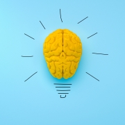 The Human Intelligence Principle