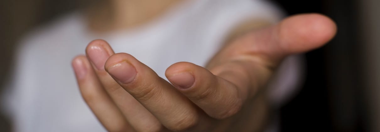 Lloyd Language Services offers a helping hand