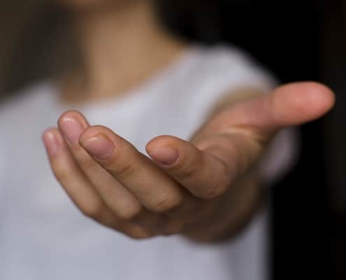 Lloyd Language Services offers a helping hand